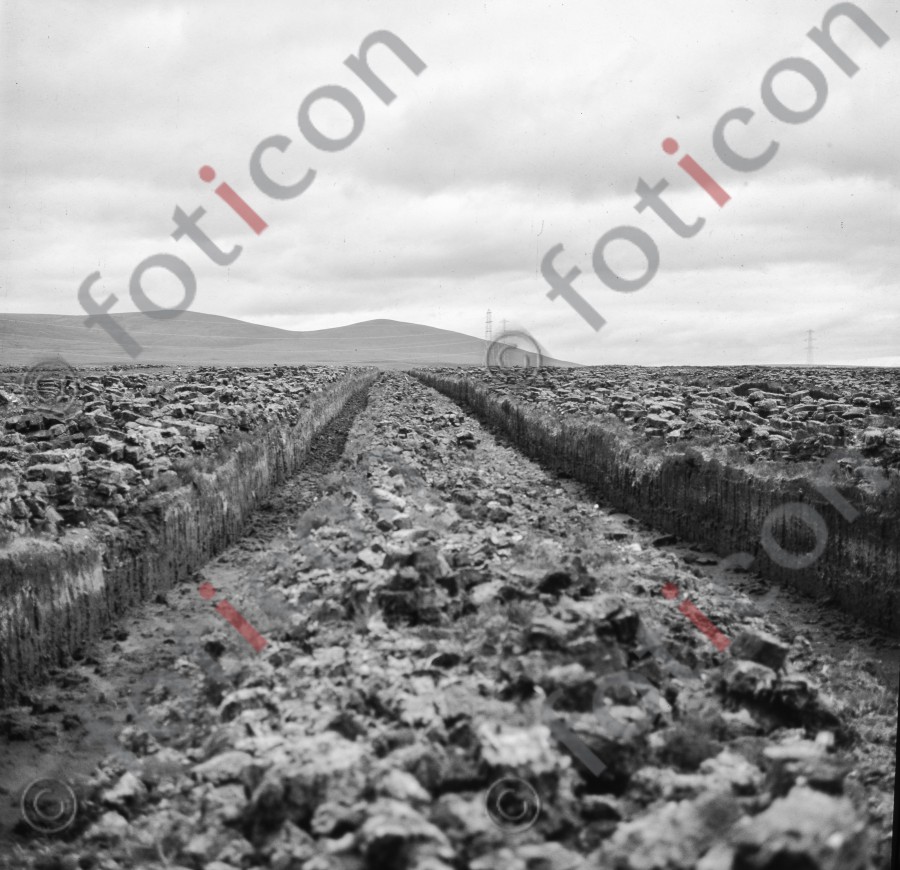 Torffeld | Peat field - Foto foticon-hofmann-001-000-sw.jpg | foticon.de - Bilddatenbank für Motive aus Geschichte und Kultur